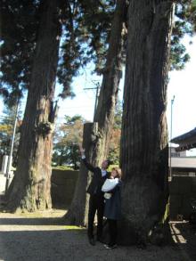 白河市鹿島神社「お宮参り」杉の木スクスク♪